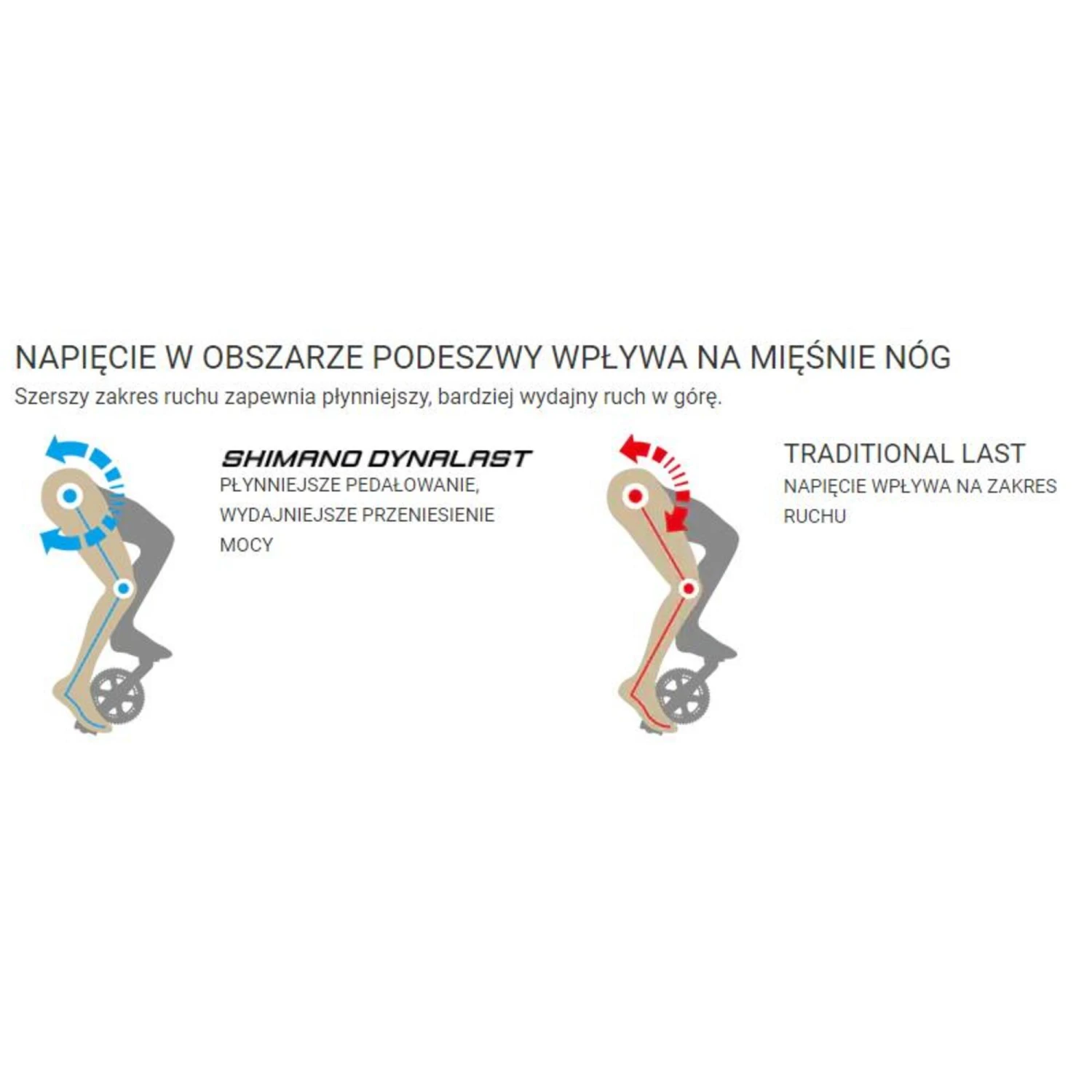 Chaussures Femme Shimano SH-RC300 7 Chaussures Femme Shimano SH-RC300 – Image 5