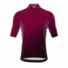 Bioracer Maillot Cycliste - Rouge - Hommes - Icon Classic Smooth -Vélo Mania maillot cycliste rouge hommes icon classic smooth